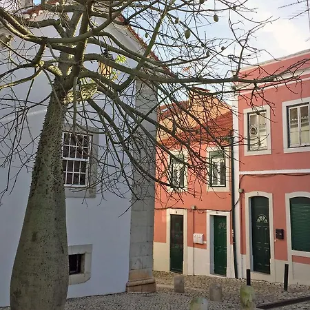 4 Apartment